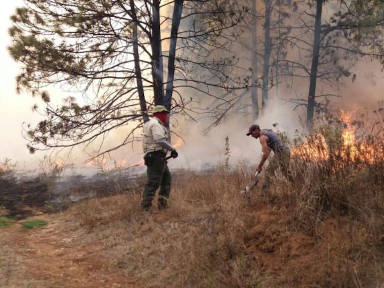 Se registran incendios en el bosque del Centinela y el cerro El Fraile