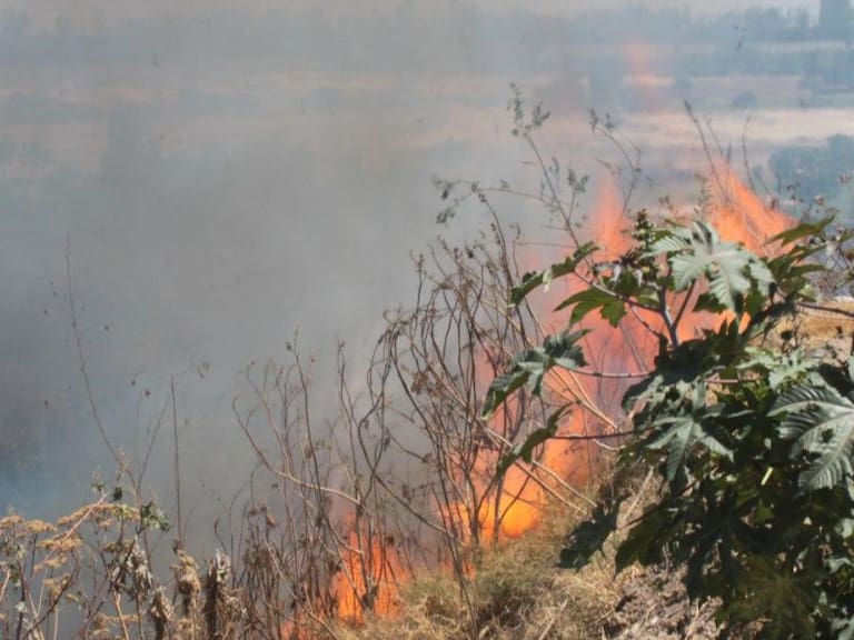 Provocados la mayoría de incendios en Zapopan