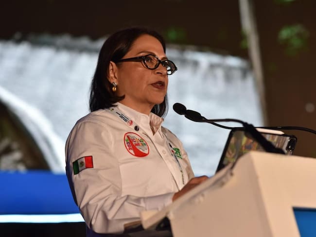 Centrales hidroeléctricas fortalecen el Sistema Eléctrico Nacional y el desarrollo del país: Emilia Calleja Alor
