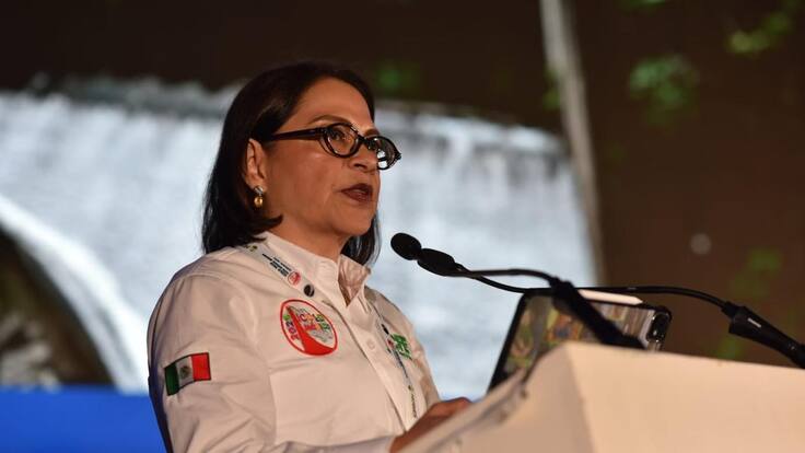 Centrales hidroeléctricas fortalecen el Sistema Eléctrico Nacional y el desarrollo del país: Emilia Calleja Alor