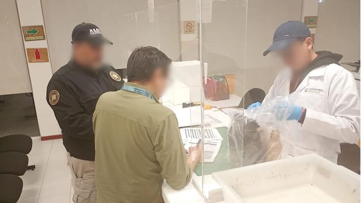 Salud y FGR investigan decesos por presuntos sueros vitaminados en Hermosillo