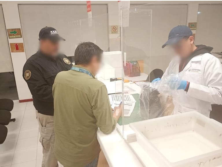 La FGR y Salud realizan el análisis de las muestras correspondientes a cuatro personas fallecidas por la presunta aplicación de sueros vitaminados en Hermosillo.