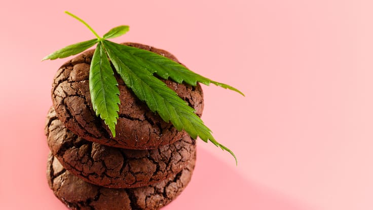 SCJN avala autoconsumo de cannabis en alimentos preparados para uso personal