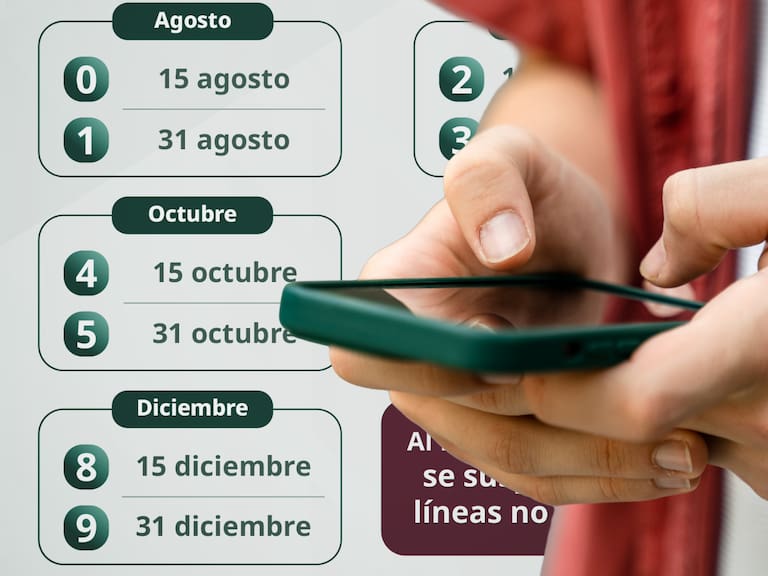 El registro de celulares ahora se realiza con un calendario de 10 fechas según el último dígito del número