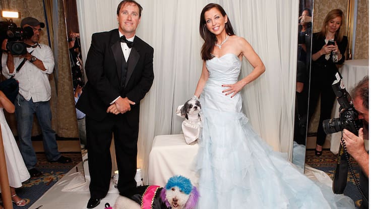 ¿Tu perro o gato puede ser testigo de tu boda? Ya existe una forma de incluir a tu mascota en la ceremonia en este estado