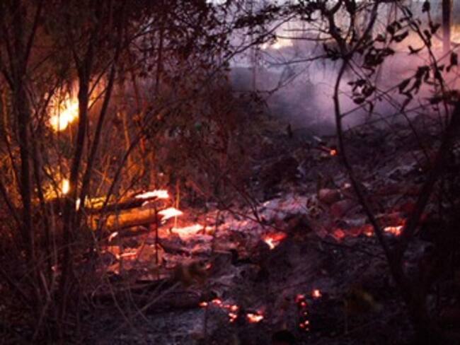 Incendio en Bosque del Jardin se extiende y consume 3.300 hectáreas