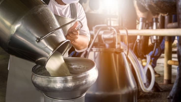 Ganaderos piden plan integral para apoyar productores de leche mexicanos