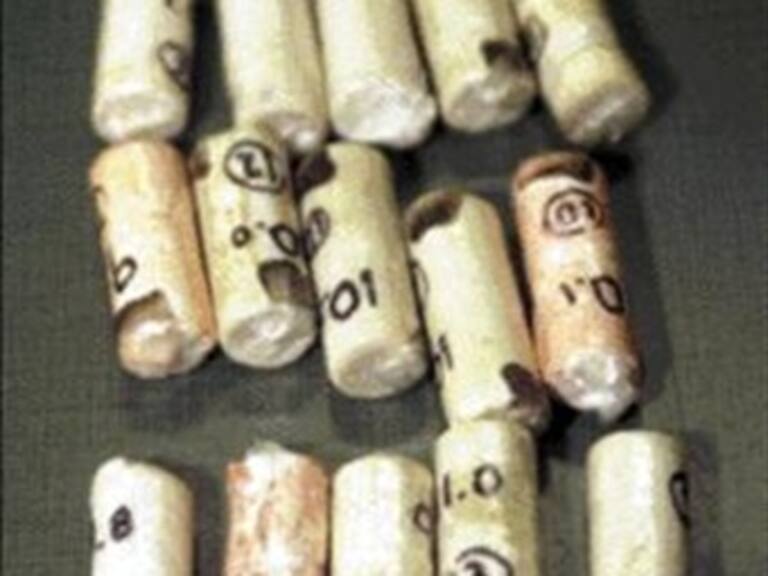 Detienen a dos mujeres con estómago de cocaína en Bolivia
