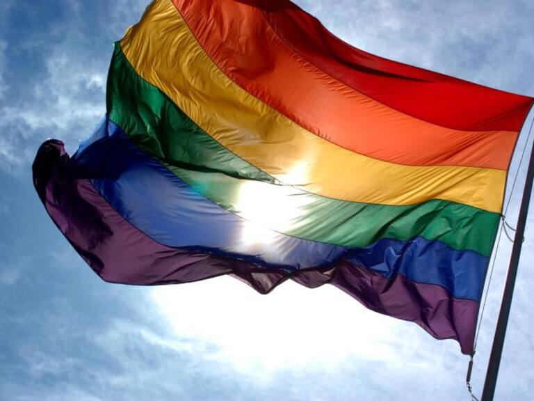 Peña anuncia medidas para llevar el matrimonio gay a la Constitución