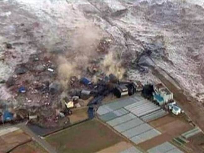 Hallan radiactividad proveniente de Japón en algas de la costa de California