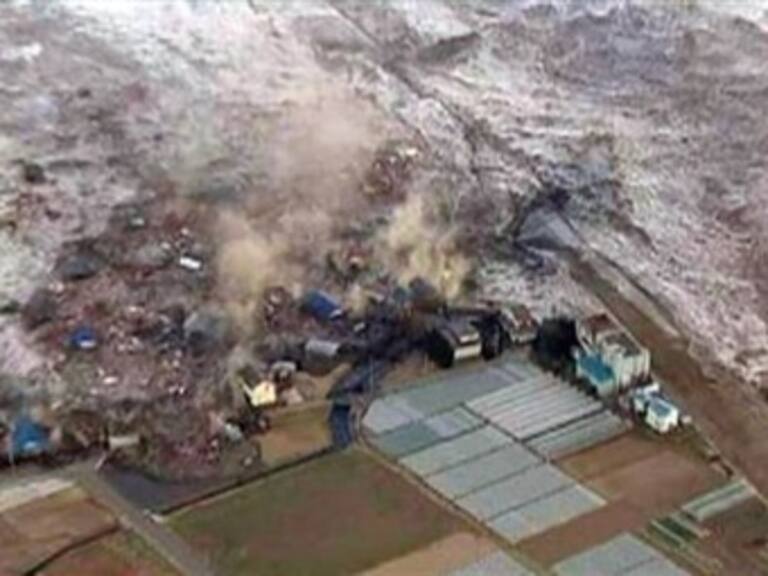 Hallan radiactividad proveniente de Japón en algas de la costa de California