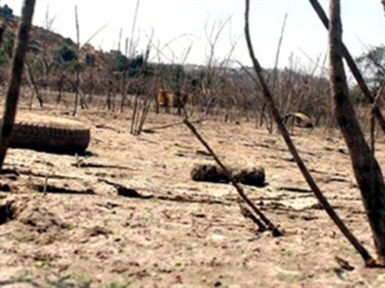Pierde México 20 mmdp en el campo ante sequía: CNC