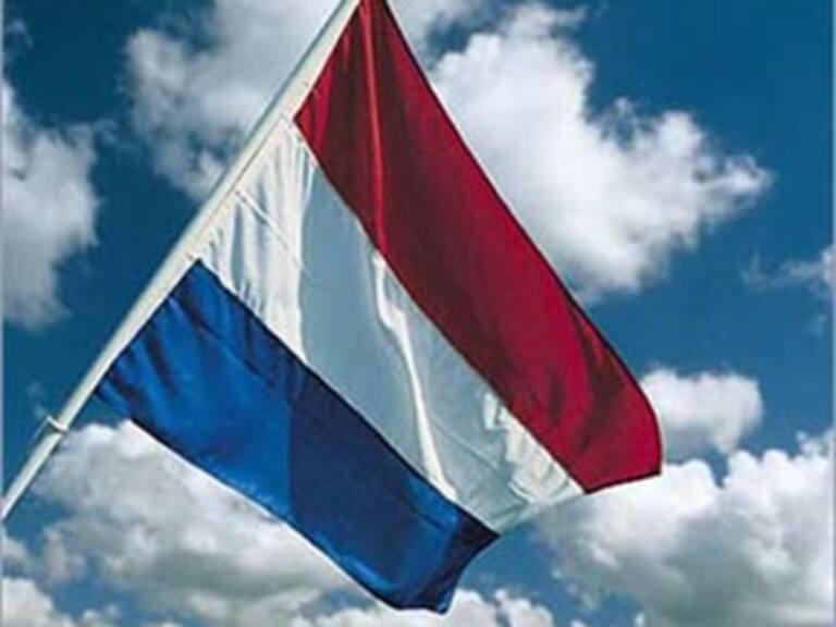 Confirma Holanda primer caso de gripe porcina