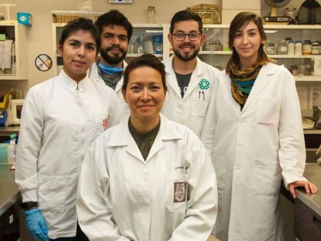 Héroes sin capa: científicos mexicanos eliminan Virus del Papiloma Humano