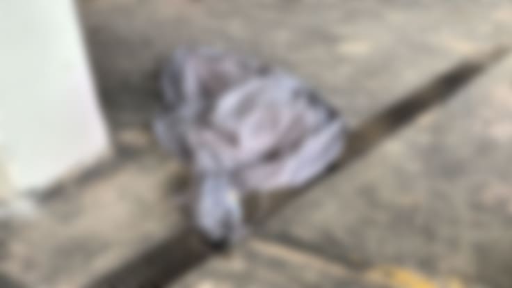 Muere aficionado tras caer desde palcos en el Estadio Banorte; investigan condiciones del incidente