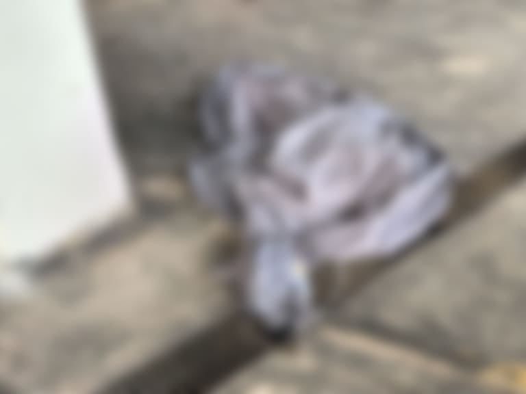 Mx - Muere aficionado tras caer desde palcos en el Estadio Banorte; investigan condiciones del incidente