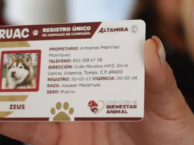 Así puedes sacar la CURP para tu mascota en CDMX en 2025