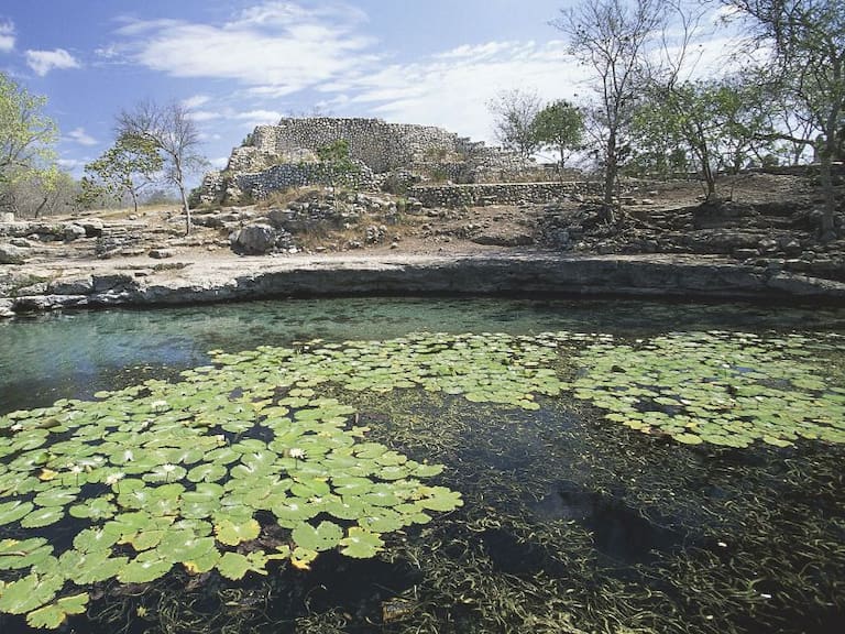 Cenotes de Chen-Ha en Yucatán ¡Usados como basureros!