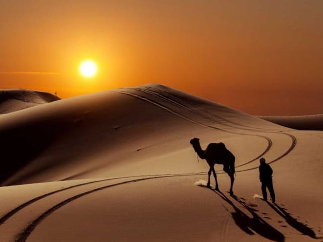 El Sahara era una región fértil hasta que los humanos lo convirtieron en desierto…