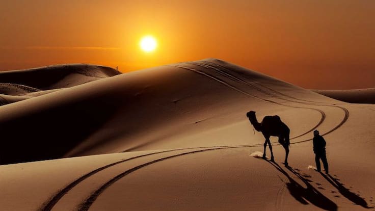 El Sahara era una región fértil hasta que los humanos lo convirtieron en desierto…