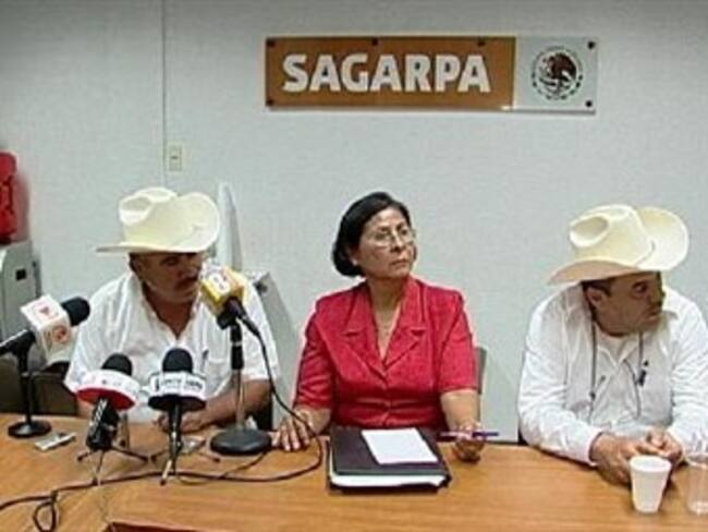 Urgen a Sagarpa atender situación de productores en Sinaloa