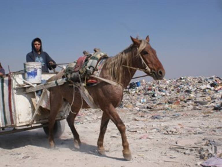 Los desalojados del Bordo de Xochiaca: de poco a nada