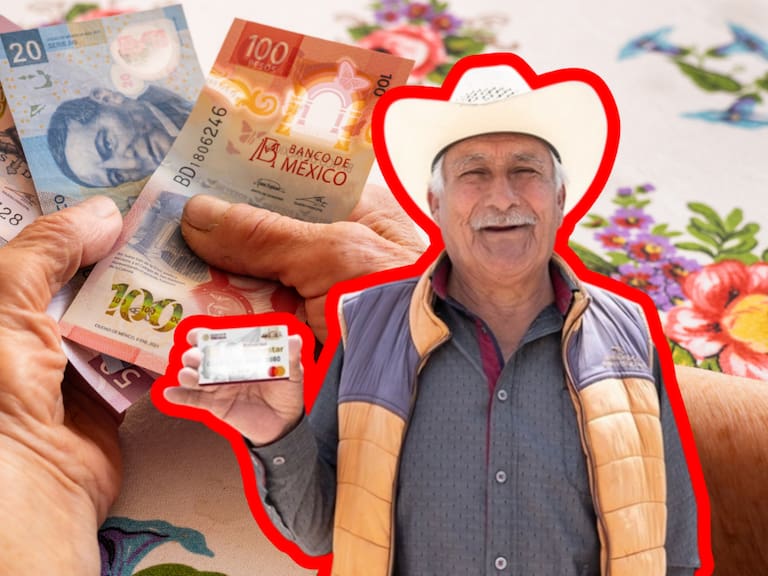 Pensión Bienestar febrero, registros