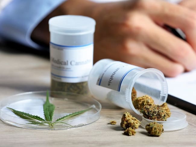 Es tiempo de legislar sobre cannabis: Zara Snapp
