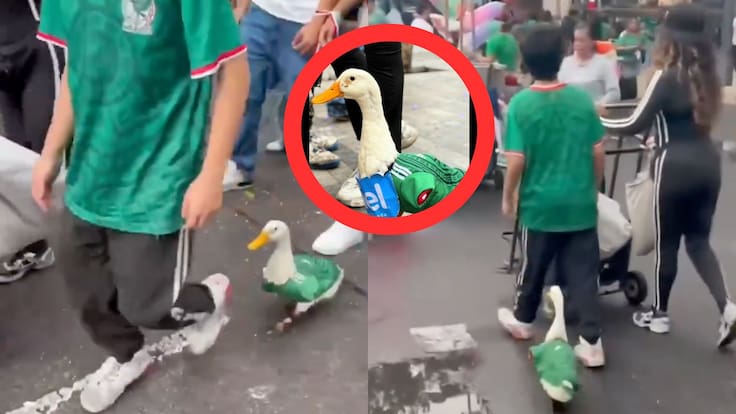 Dueña del pato viral que apoya a la Selección Mexicana revela su nombre y la historia del animalito