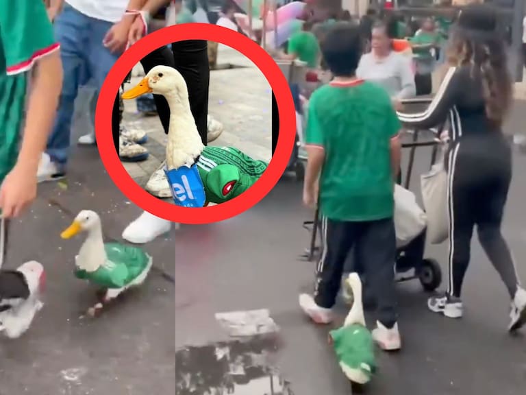 Mx - Pato Merlín, su dueña revela su historia