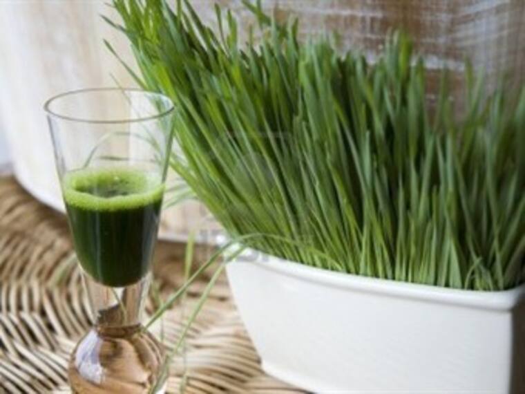 Eric Estrada, académico de la Universidad de Chapingo y experto en herbolaria. Pasto de trigo tierno y germinados aumentan glóbulos rojos y plaquetas