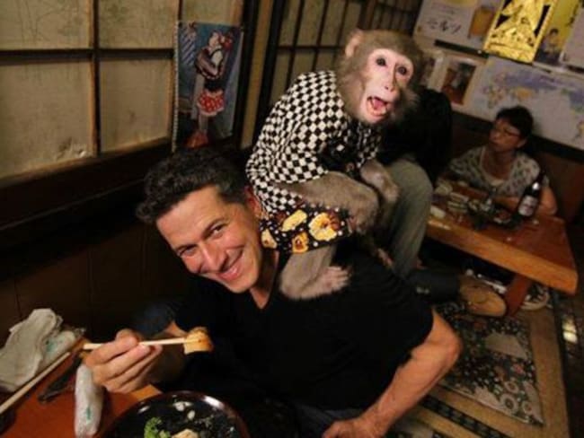 Bar es duramente criticado por tener monos como meseros