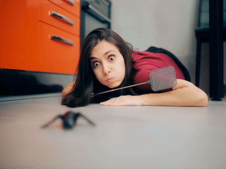 Cómo saber qué tipo de animales pueden transmitir ponzoña en temporada de lluvias