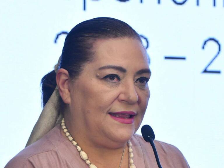 Presidenta del INE defiende su propuesta de Presupuesto 2024 ante diputados