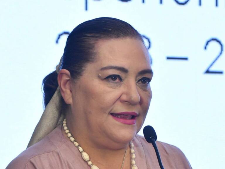 Presidenta del INE defiende su propuesta de Presupuesto 2024 ante diputados