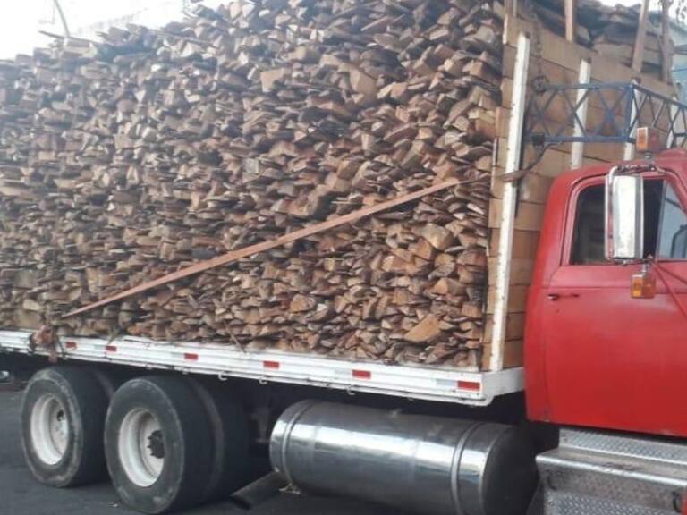 Detienen a hombre que trasladaba toneladas de madera de pino