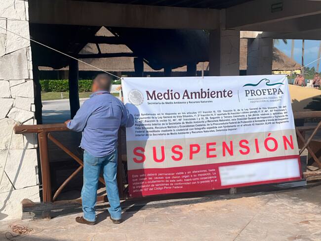 Profepa suspende espectáculos con delfines en la Riviera Maya tras muerte de Mincho