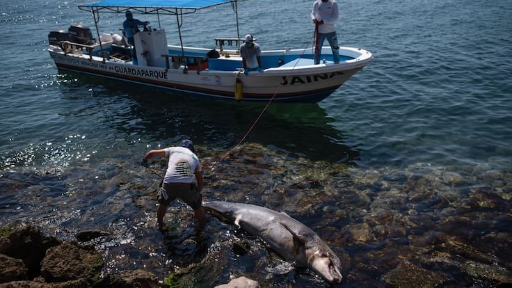 Comunidades impugnan gasoducto en Veracruz por falta de consulta