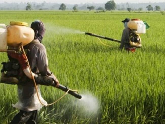 'WFM' del lunes 21 de diciembre. No te pierdas lo mejor de las entrevistas a Odin Dupeyron y Jesús Ochoa