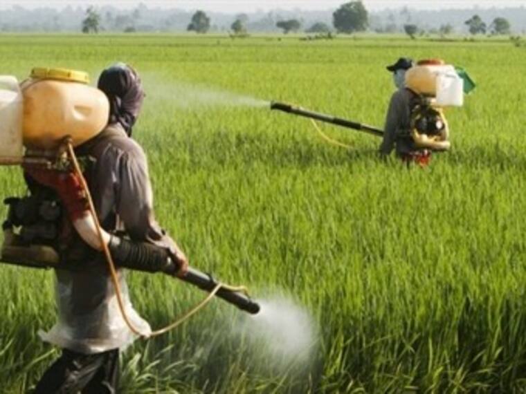 'WFM' del lunes 21 de diciembre. No te pierdas lo mejor de las entrevistas a Odin Dupeyron y Jesús Ochoa