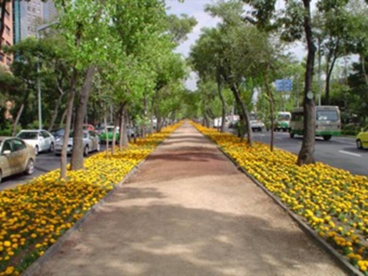 'Palabrotas' que definen las vialidades en la ciudad. Mónica Alfaro, editora de 'Algarabía'. 13/01/13