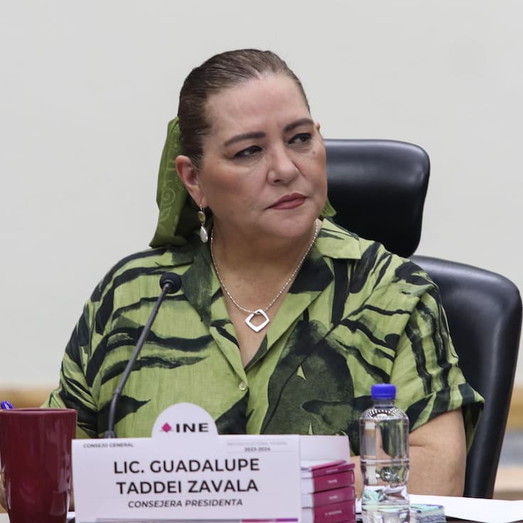 Vamos a acabar con coyotes electorales… Tadeei no llegó con Morena: Sheinbaum