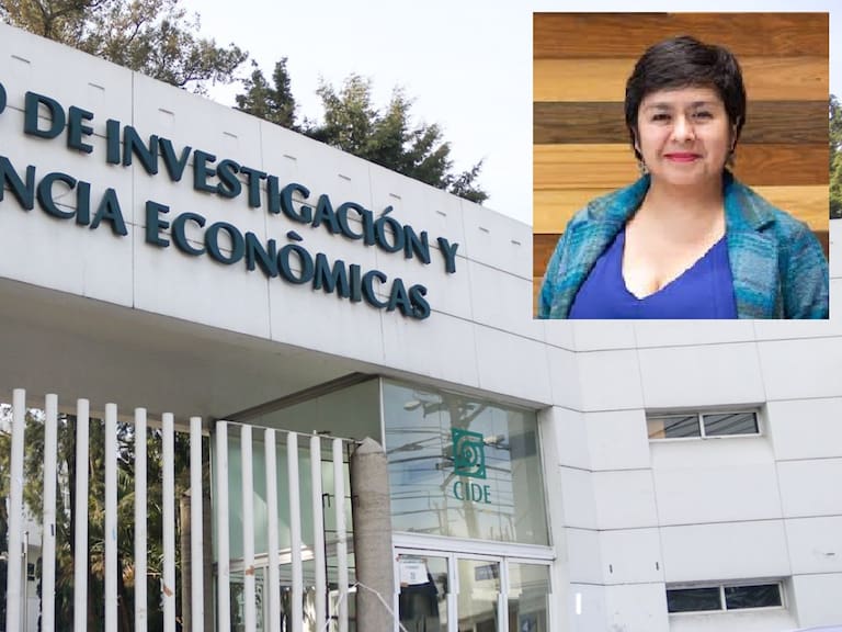 La destitución en el CIDE derivó en el nombramiento de una directora interina, la doctora Lucero Ibarra, decisión que fue calificada como consensuada por académicos del centro de investigación.
