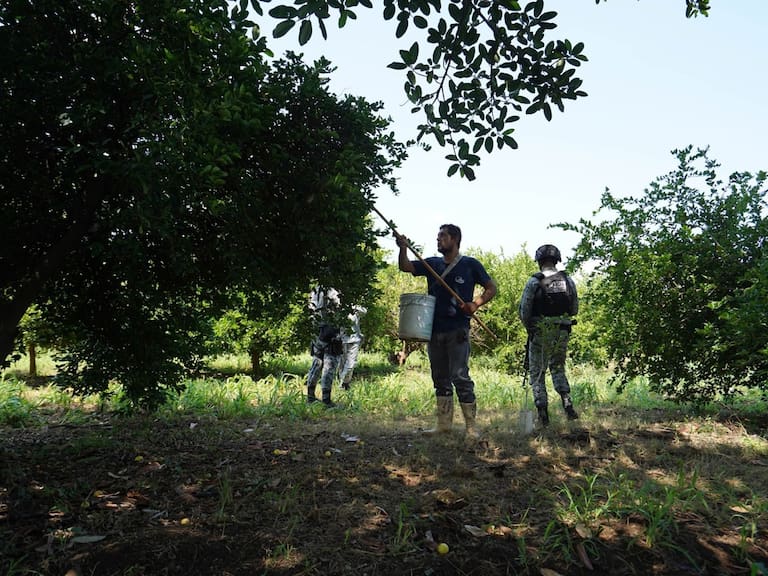 El embajador de Estados Unidos en México reconoció la labor de México, en particular de Seguridad para continuar las operaciones comerciales en Michoacán.