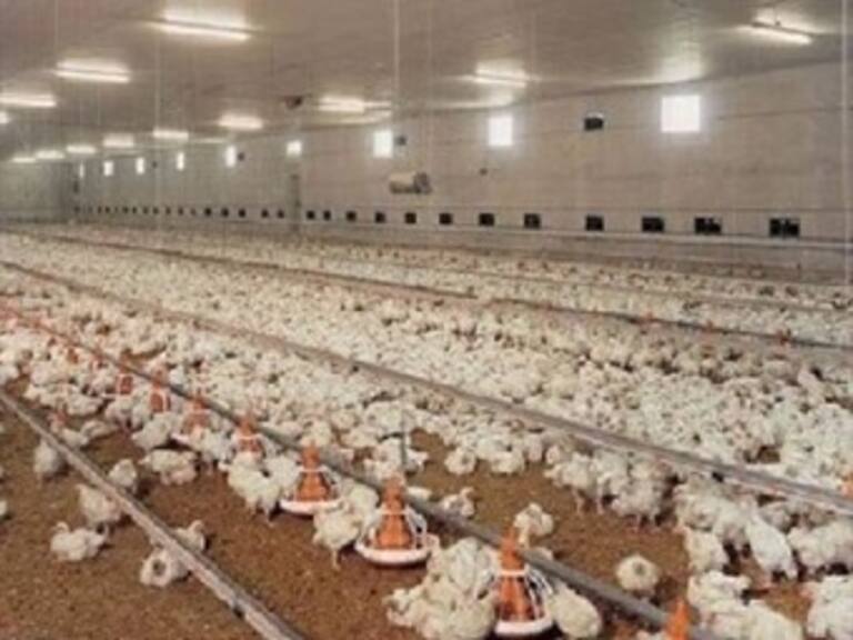 Suma Bachoco nueva multa millonaria de CFC