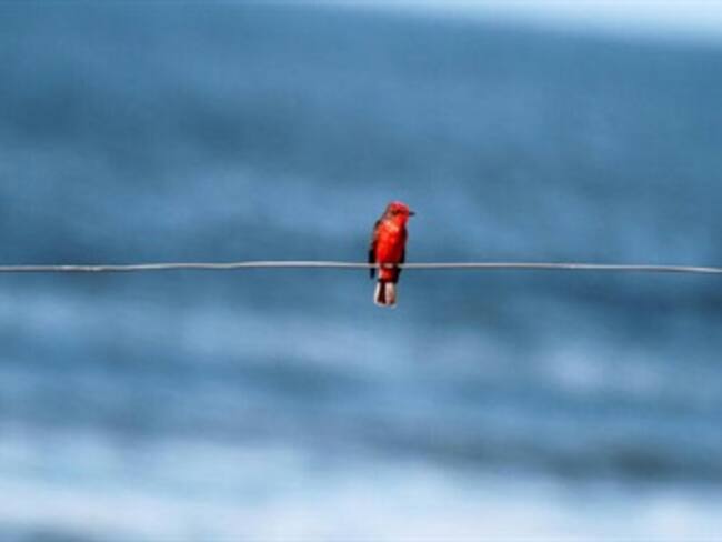 'En que plan andamos' con Francisco Río Zertuche, escritor 04/05/13