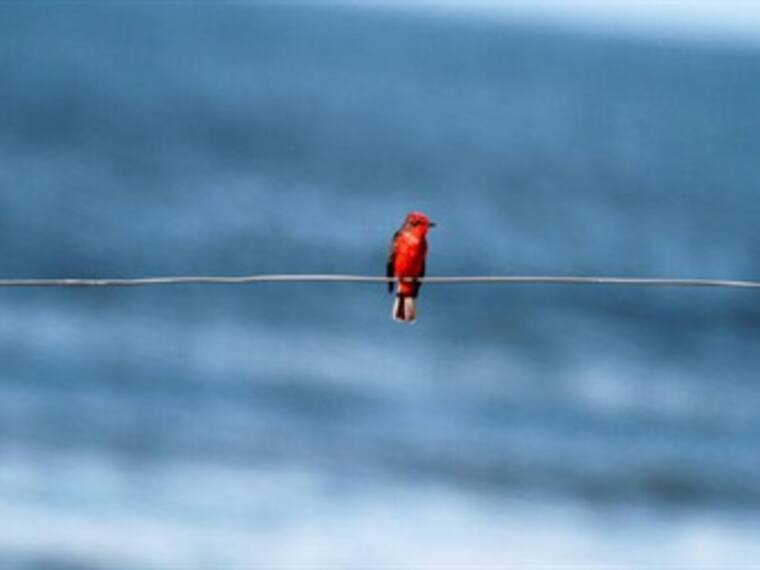 'En que plan andamos' con Francisco Río Zertuche, escritor 04/05/13