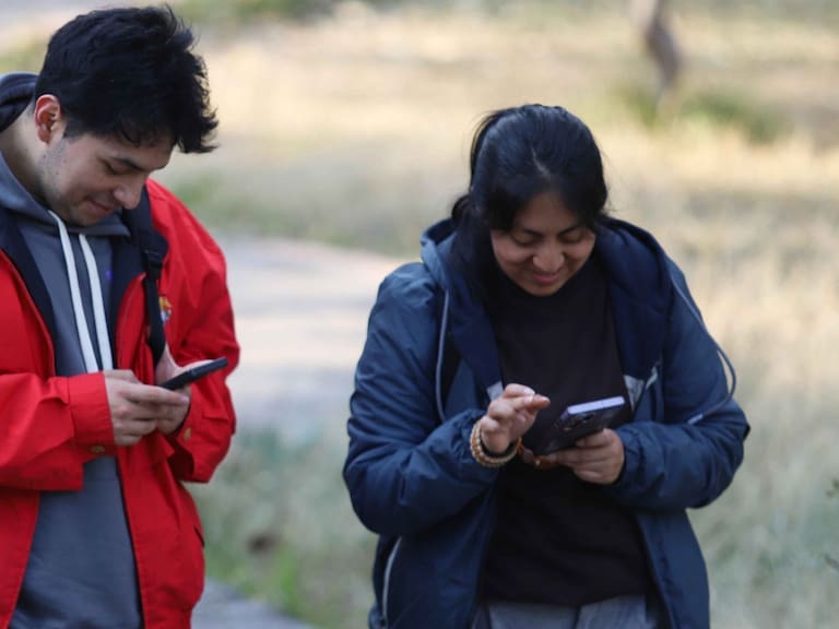 Mx - ¿Cómo saber si tu CURP está registrada a una línea telefónica?