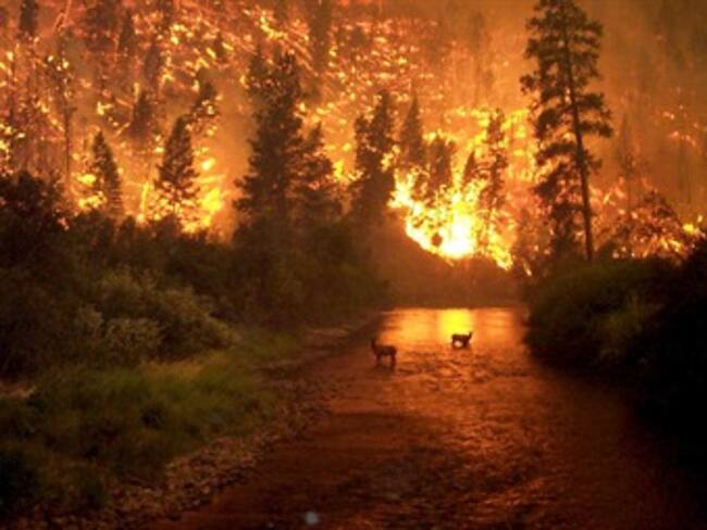 Registran dos incendios en el paque 'La Malinche'. Sargento Rascón. 11/04/13