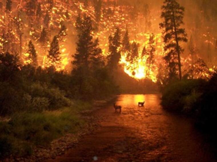 Registran dos incendios en el paque 'La Malinche'. Sargento Rascón. 11/04/13